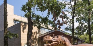 Pangea Hotel Nyíregyháza