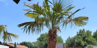 Oázis Üdülő Tiszafüred