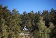 8 erdei vendégház, ami garantáltan levesz a lábadról Zöld Béka Vendégház Komló-Sikonda