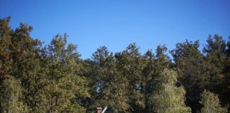 8 erdei vendégház, ami garantáltan levesz a lábadról Zöld Béka Vendégház Komló-Sikonda